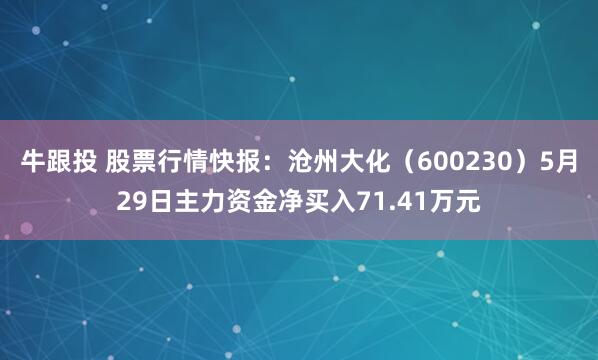 牛跟投 股票行情快报：沧州大化（600230）5月29日主力资金净买入71.41万元
