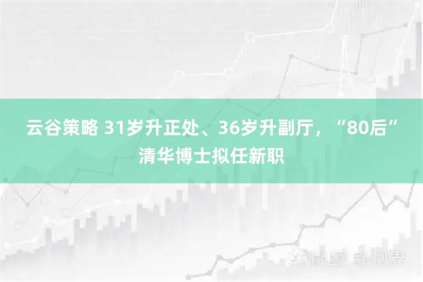 云谷策略 31岁升正处、36岁升副厅，“80后”清华博士拟任新职