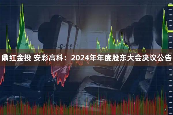 鼎红金投 安彩高科：2024年年度股东大会决议公告