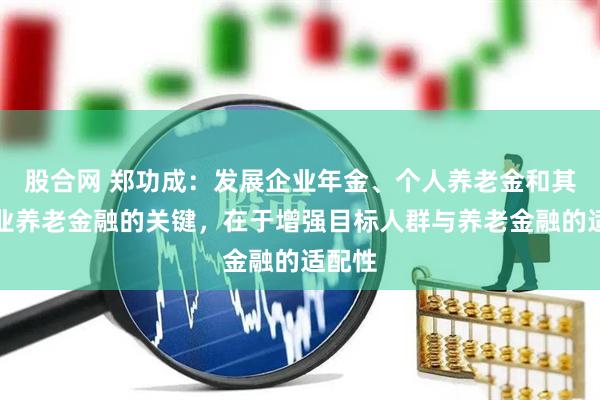 股合网 郑功成:发展企业年金、个人养老金和其他商业养老金融的关键,在于增强目标人群与养老金融的适配性