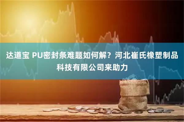 达道宝 PU密封条难题如何解？河北崔氏橡塑制品科技有限公司来助力